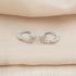 Leafy Luster Silver Earring